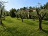 Casa indipendente in vendita con giardino a Castelnuovo Magra in via palvotrisia 65 - palvotrisia - 04, giardino 2