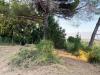 Terreno Edificabile in vendita con giardino a Castelnuovo Magra in via degli ulivi 31 - colline del sole - 06, WhatsApp Image 2026-08-11 at 12.32.08OL