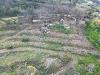 Terreno Agricolo in vendita a Camporosso in regione magauda 36 - magauda - 02, drone