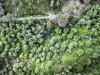 Terreno Agricolo in vendita a Ventimiglia in corso cuneo 42 - trucco - 05, drone
