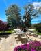 Villa in vendita con giardino a Bordighera in via iride 155 - 04, WhatsApp Image 2024-08-10 at 10.02.46.jpeg