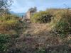 Terreno Agricolo in vendita a Camporosso in strada provinciale 92 - brunetti - 02