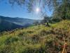 Terreno Agricolo in vendita da ristrutturare a Dolceacqua in via tornatore monsignore b 6 - 05