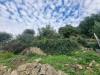 Terreno Agricolo in vendita a Ventimiglia in frazione grimaldi - grimaldi - 03