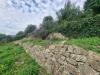 Terreno Agricolo in vendita a Ventimiglia in frazione grimaldi - grimaldi - 04