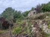 Terreno Agricolo in vendita a Ventimiglia in frazione grimaldi - grimaldi - 05