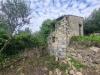 Terreno Agricolo in vendita a Ventimiglia in frazione grimaldi - grimaldi - 06