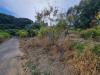 Terreno Agricolo in vendita a Ventimiglia in via delle otto case 1 - sealza - 05, 3e4be814-0496-46ea-8d72-e0065edb2253.jpeg