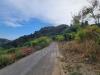 Terreno Agricolo in vendita a Ventimiglia in via delle otto case 1 - sealza - 06, 8d2ea0b4-8850-4ea3-98b6-b4584309e3cf.jpeg
