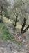 Rustico in vendita con giardino a Airole in localit para - 04