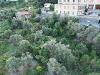Casa indipendente in vendita con giardino a Ventimiglia in via gallardi 22 - 05, foto drone