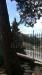 Appartamento in vendita con giardino a Bordighera in via generale vincenzo rossi 79 - 06, 6
