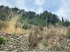 Terreno Agricolo in vendita a Ventimiglia in via monsignor nicol� peitavino - roverino - 04, terreno