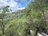 Terreno Agricolo in vendita a Ventimiglia in via monsignor nicol� peitavino - roverino - 02, 2.jpeg