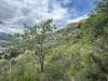 Terreno Agricolo in vendita a Ventimiglia in via monsignor nicol� peitavino - roverino - 03, 3.jpeg