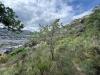 Terreno Agricolo in vendita a Ventimiglia in via monsignor nicol� peitavino - roverino - 06, 6.jpeg