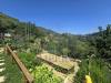 Casa indipendente in vendita con giardino a Ventimiglia in via felice cascione 19 - latte - 06, 11