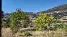 Terreno Agricolo in vendita a Ventimiglia in corso limone piemonte - roverino - 06, DJI_20260626162102_0007_D
