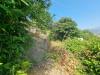 Terreno Agricolo in vendita a Ventimiglia in via daffra 20 - 03, 5960970061012995604