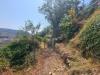 Terreno Agricolo in vendita a Ventimiglia in via daffra 20 - 04, 5960970061012995605