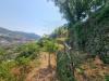 Terreno Agricolo in vendita a Ventimiglia in via daffra 20 - 05, 5960970061012995606