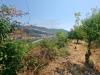 Terreno Agricolo in vendita a Ventimiglia in via daffra 20 - 06, 5960970061012995607