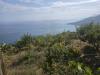 Terreno Agricolo in vendita a Ventimiglia in localit� ville superiori 30 - ville - 02, 2
