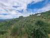Terreno Agricolo in vendita da ristrutturare a Dolceacqua in strada vicinale san gregorio - 02, terreno