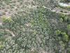 Terreno Agricolo in vendita da ristrutturare a Dolceacqua in strada vicinale san gregorio - 06, drone