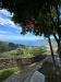Villa in vendita ristrutturato a Camogli in via franco molfino - 03, Foto 3