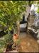 Appartamento in vendita da ristrutturare a Celle Ligure in via alla costa - 10, Foto 10