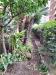 Appartamento in vendita con giardino a Savona in via servettaz - 03, Foto 3