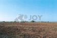 Terreno Agricolo in vendita a Lecce in via del codibugnolo - 03, Immagine 2025-12-19 184410.jpg
