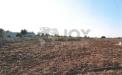 Terreno Agricolo in vendita a Lecce in via del codibugnolo - 04, Immagine 2025-12-19 184431.jpg