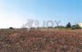 Terreno Agricolo in vendita a Lecce in via del codibugnolo - 06, Immagine 2025-12-19 184840.jpg