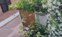 Appartamento bilocale in affitto con giardino a Ancona in strada vecchia di pietralacroce - pietralacroce - 02, C52DC28C-F6FF-492C-A0CB-84427CEB32DD.jpeg