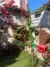 Appartamento bilocale in vendita a Castelfidardo - san agostino - 04, simo12.jpg