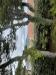 Villa in vendita con giardino a Numana in via ischia - 06, IMG_5800.jpeg
