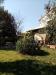 Villa in vendita con giardino a Piombino - franciana - 03
