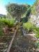 Appartamento bilocale in vendita con giardino a Marciana - procchio - 04