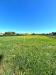 Terreno Agricolo in vendita a Cecina - 03