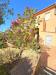 Villa in vendita con giardino a Marciana - procchio - 03