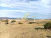 Terreno Agricolo in vendita a Rosignano Marittimo - 06
