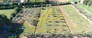 Terreno Agricolo in vendita a Piombino - la sdriscia - 02