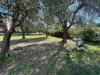 Appartamento in vendita con giardino a Fiano Romano - 05, WhatsApp Image 2024-04-12 at 11.43.59.jpeg