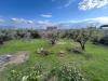 Villa in vendita con giardino a Fiano Romano - 04, WhatsApp Image 2026-05-25 at 10.30.38 (14)