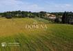 Rustico in vendita da ristrutturare a Sovicille - volte alte - 05