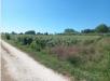 Terreno Agricolo in vendita a Cascina - 04