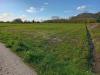 Terreno Agricolo in vendita a Cascina - 06