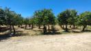 Terreno in vendita classe A4 a Floridia - 04